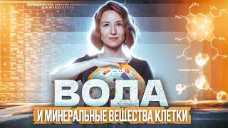 Вода и минеральные вещества клетки | ЕГЭ-2025 по биологии
