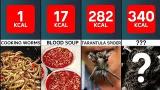 Top 50 Most Disgusting Foods In The World | Hub Data