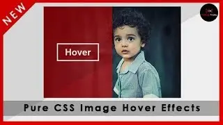 PURE CSS IMAGE HOVER EFFECTS in Html and CSS | Webdesign Tutorial | [Coding Tricks]
