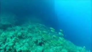Malta part 3 - Scuba Diving, West Coast Gozo (September 2013)
