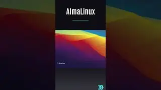 5 Best CentOS Alternatives in 2024 