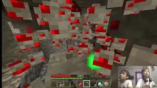 Minecraft Survival Mode {If Dieing World Gets  Deleted}