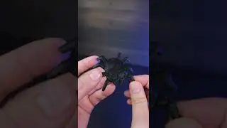 Напечатал Пушистого Паука на 3D Принтере