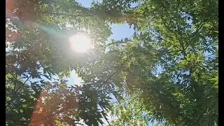 Десять солнечных лет!