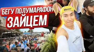 BOKA HALF MARATHON. I am running a half marathon. Race training. Montenegro.
