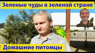 Привет, птичка! Чаю хочешь? (видео 591)