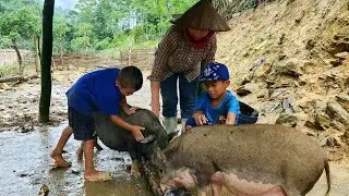 Pouring concrete, finishing roofing and building a cage for 2 pigs - daily life