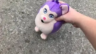 Tattletail & Groundhog Day!