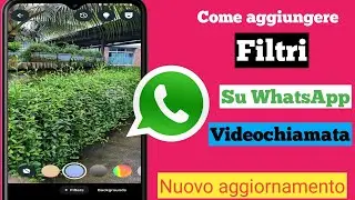 Come aggiungere filtri alla videochiamata WhatsApp (nuovo aggiornamento 2024) |