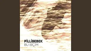Bu Biçim