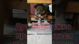 Девочки будут жить!!!