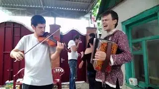 Баянист (гармонист) и скрипач на свадьбу в  Краснодаре