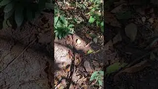 Lembre-se de quem vc realmente é. Pergunte-me como? ☺️