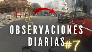 OBSERVACIONES DIARIAS #7 - Pelea sin voz