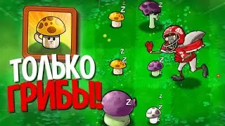 Возможно Ли Пройти Выживания В Plants Vs. Zombies Используя ТОЛЬКО Грибы?