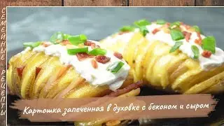 Картошка, запеченная в духовке с беконом и сыром. Рецепт "КАРТОШКА - ГАРМОШКА" [Семейные рецепты]