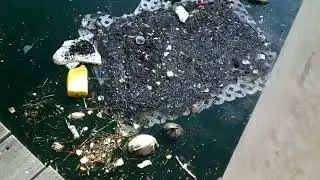 Random Islamorada Video