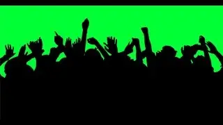 Concert Crowd Hands | Stock Footage - Videohive