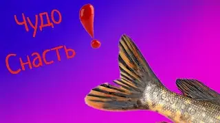 Чудо приманка ! НЕУЖЕЛИ ТАК МОЖНО БЫЛО?!
