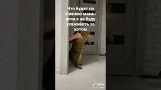 Лучшие приколы до слёз 2022
