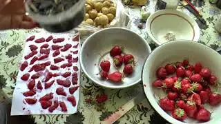 как собрать семена с клубники