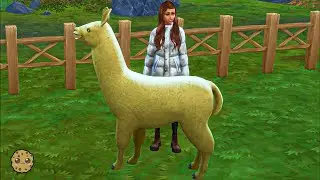 Best Friends ,  New Animal Farm Life Sims 4 Part 5