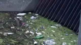 Delaware Park garbage slip