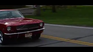 Car Culture v2