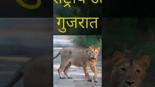 भारतातील 10 आश्चर्यकारक जंगले / 10 Amazing Forests In India 