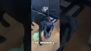 Ой, пролилось 😳 