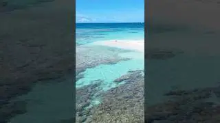 Life is bluuuetiful 🌊🤗✨💙 