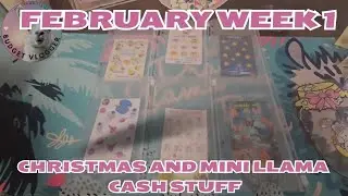 Cash stuff with me | Christmas binder and mini llama day #cashstuffing