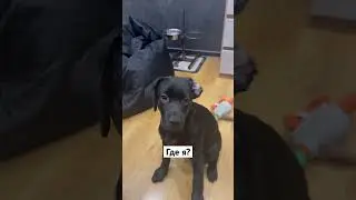 После сна 😅 