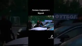 Литвин драка