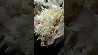 Токарный ЧПУ по дереву.