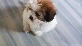 mga bagong ligo#chambe ,chocho,chamba||chambe cute
