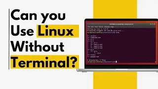 Can You Use Linux Without the Terminal?