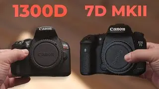 Canon 7D Mark II vs Canon T6 (1300D): A Photographer's Best Friend