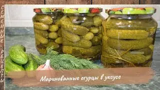 Вкусные Хрустящие огурцы бланшированные в уксусе! Заготовка огурцов на зиму [Семейные рецепты]