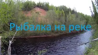 Хариус, кумжа. Июнь - на рыбалку плюнь, часть вторая.