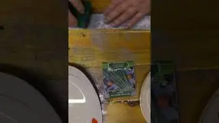 #садоводство