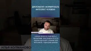 #Shorts 🫱🏼‍🫲🏻🧠Дипломатия сформировала интеллект человека