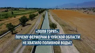 «Поля горят». Почему фермерам в Чуйской области не хватило поливной воды?