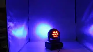 MVI 0079