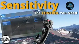 Get the CONTROL you need | Sensitivity Settings in MSFS2024