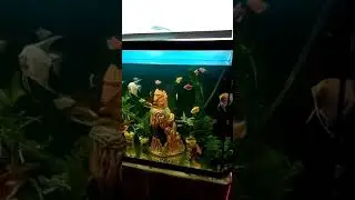 16 февраля 2020 г.