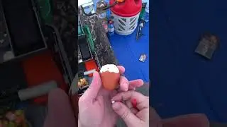КАК НАСАДИТЬ ЯЙЦО🥚 