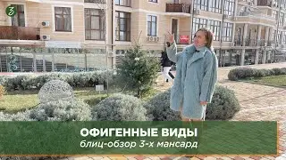 Блиц-обзор! 3 мансарды с видом на море
