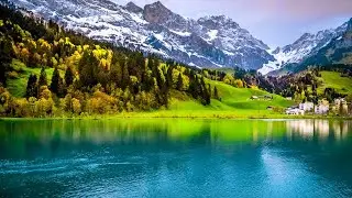 Relaxing music treats diseases of the heart and blood vessels🌿Gentle music, calms the nervous system