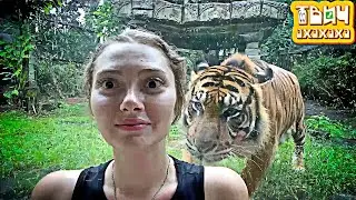 Зоопарк Бали 🤣 Твич Нарезки LupLupka